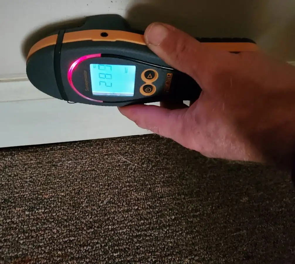 Moisture detection at baseboard during Sewage Cleanup & Sanitation in Geddes